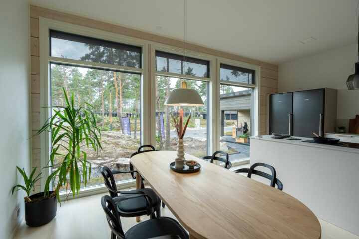 Hirsi-Kastelli Aisti